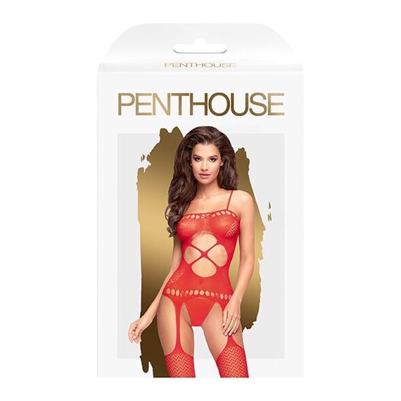 Бодістокінг з вирізом на животику та імітацією панчіх Penthouse Hot Nightfall, Червоний, День закоханих, S, M, L, S/M/L | Зображення 2
