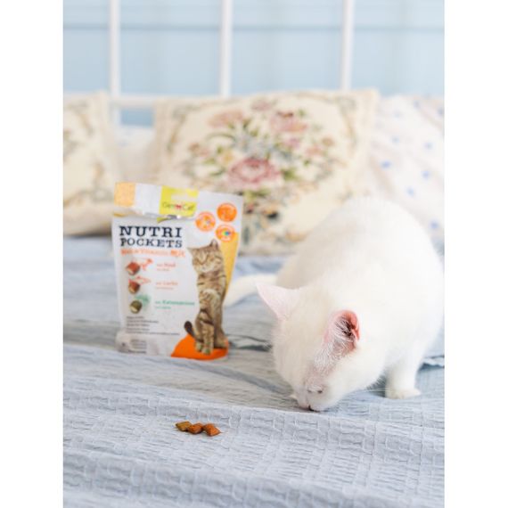 Ласощі для котів з лососем GimCat Nutri Pockets Salmon & Omega 3+6, 150 гр | Зображення 3