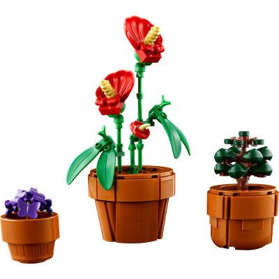 Конструктор LEGO Icons Мініатюрні рослини 758 деталей (10329) | Зображення 7