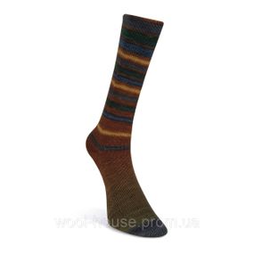 Шкарпеткова пряжа Laines du Nord Infinity Sock, 17