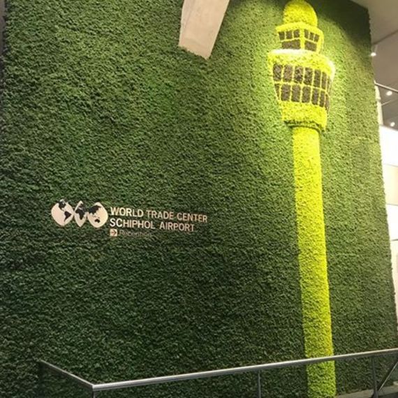 Очищенный стабилизированный мох ягель Nordic moss Зеленый светлый 0,5 кг | Зображення 3