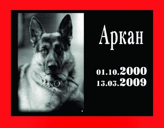Ритуальная табличка с алюминия для животных 18х24