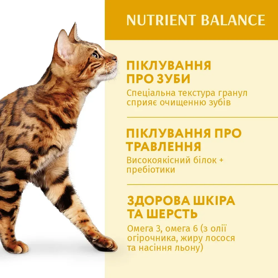 Сухий корм Optimeal Adult Cat Chicken для дорослих котів, курка 700г | Зображення 2
