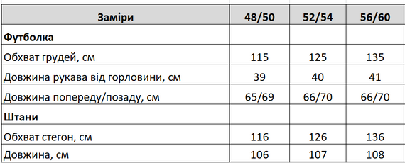 Женский легкий летний брючный костюм с футболкой, большие размеры и батал, SS172 цвет серый, размер 48/50 | Зображення 4