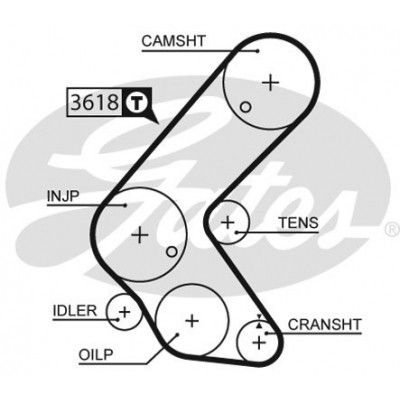 Ремень ГРМ Gates 5563XS - Топ Продаж!