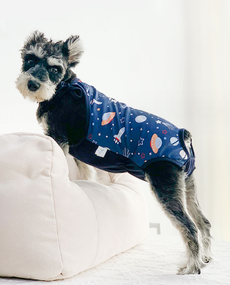 Труси-боді гігієнічні для собак синій із принтом планети S