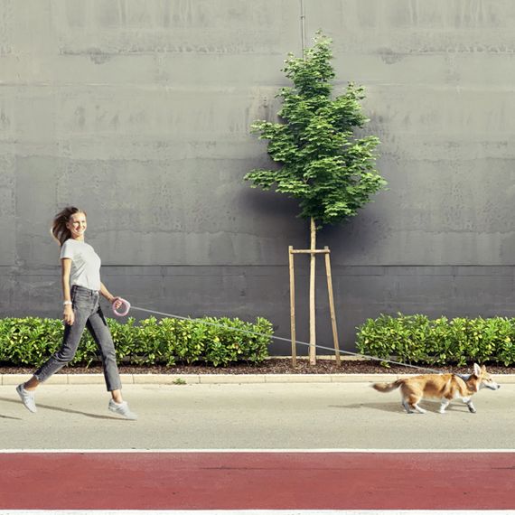 Поводок-рулетка для собак WAUDOG R-leash, круглая, XS-M, до 40 кг, 2,9 м, светоотражающая лента розовый | Зображення 6