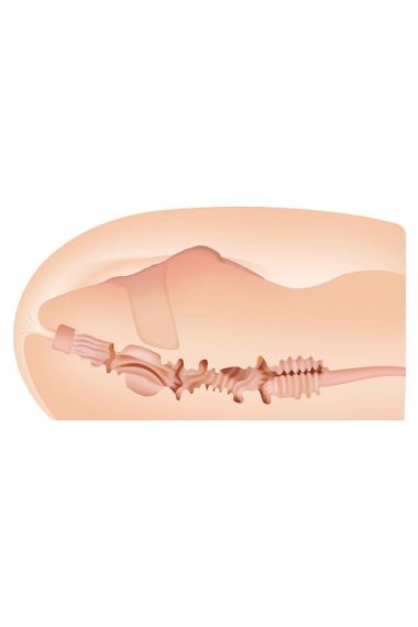 Мастурбатор Zero Tolerance Sasha Grey бежевий, 14 см Sex Aura | Зображення 7