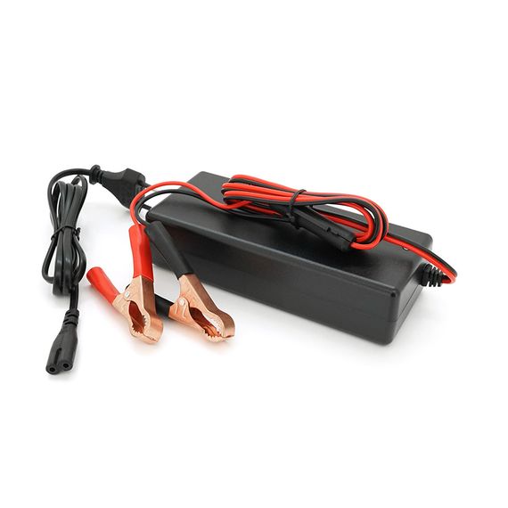 Зарядка для АКБ Li-ion 25.2V,6S,4A,крокодилы. индикация,172x72x40mm