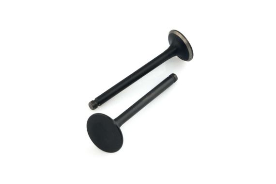 Клапаны (пара, голые)   Delta 70   MANLE