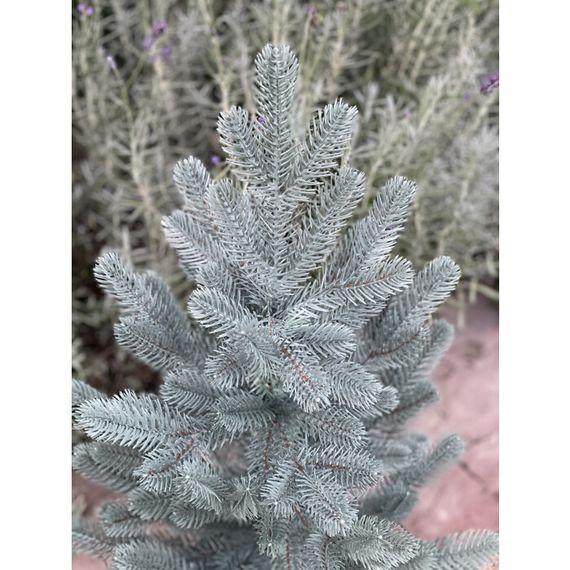 Ялинка Traditional лита в горщику 50 см блакитна новинка | Зображення 1