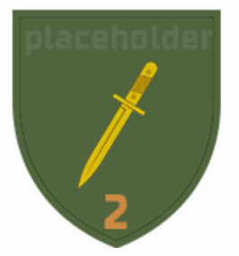 Шеврон 2 штурмовая рота