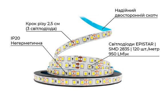 Світлодіодна LED стрічка PROLUM™ 12V; 2835\120; IP20; Series "S", Нейтральний-Білий (3800-4300K) | Зображення 2
