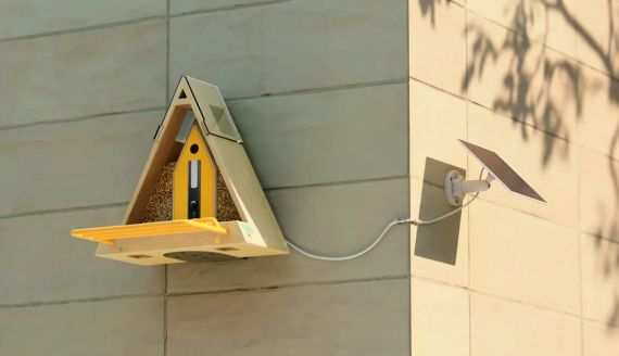 Умная кормушка для птиц GreenTough Рели Бердди камера,солнечная батарея | Зображення 6