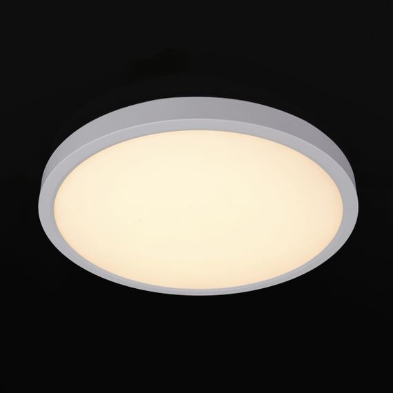 Потолочный LED светильник FLF-83B 24W WW WH | Зображення 4