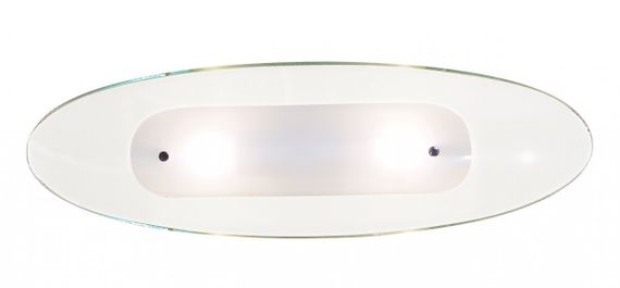 Светильник настенно-потолочный BR-02 407/2