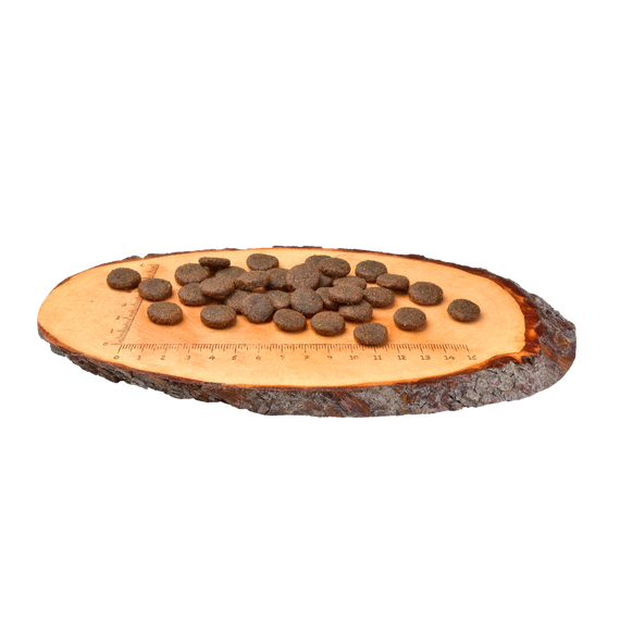 Корм сухий Carnilove Adult Large Breed Salmon and Turkey для дорослих собак великих порід вагою від 25 кг з лососем та індич | Зображення 1