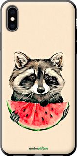Чохол на iPhone XS Max Єнотик з кавуном "4605b-1557-2448"
