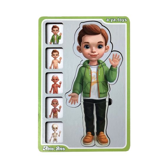 Дерев'яний пазл-вкладиш "Анатомія людини – хлопчик" Ubumblebees (ПСФ026) PSF026 будова тіла | Зображення 1