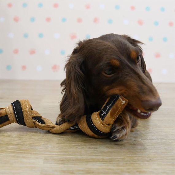 Іграшка для собак DoggyMan Leather Rope Bone, 25 см | Зображення 3