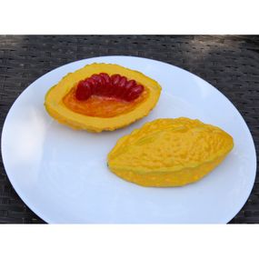 Муляж Момордика