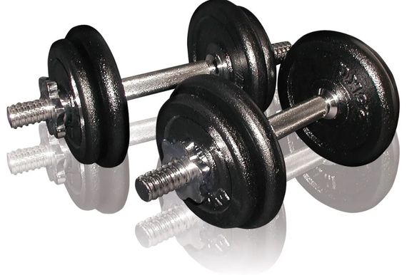 Гантелі збірні Toorx 20 кг з кейсом (VAL-20DGN) | Зображення 1