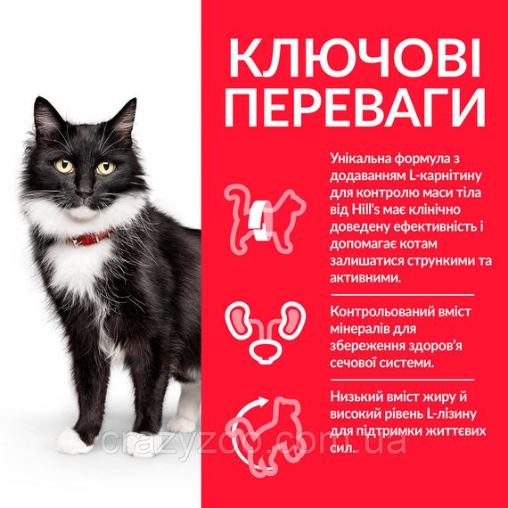 Сухой корм для стерилизованных пожилых котов Hill's Sterilised Mature Adult 7+ Chicken с курицей 300 г 604110 | Зображення 1