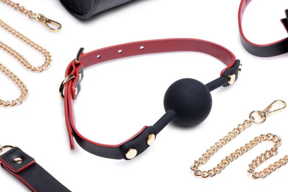 Набор БДСМ с дорожной сумкой Master Series: Bow — Luxury BDSM Set With Travel Bag, 11 предметов sexstyle | Зображення 2