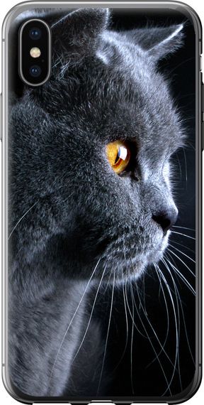 Чехол на iPhone X Красивый кот "3038u-1050-17620"