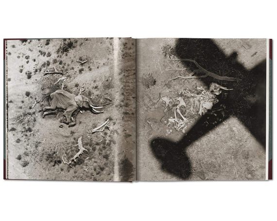 Книга альбом відомих фотографів про Африку фотографії Пітера Бірда Peter Beard. The End of the Game | Зображення 4
