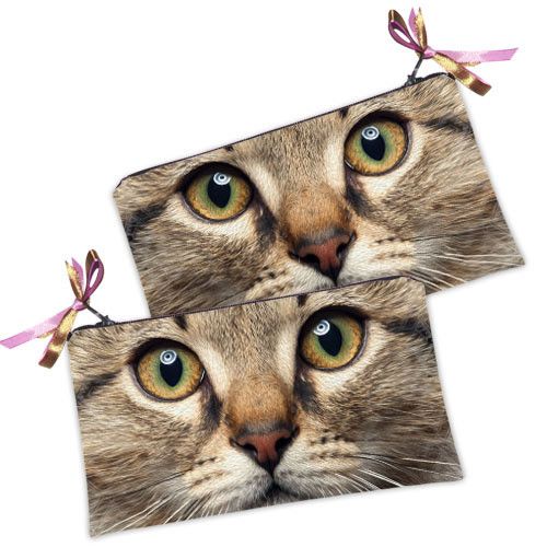 Косметичка жіноча Мордашка удивленного кота 20х12 см (K_14S139)