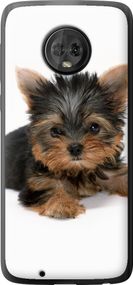 Чехол на Motorola Moto G6 Щенок йоркширского терьера "931u-982-17620"