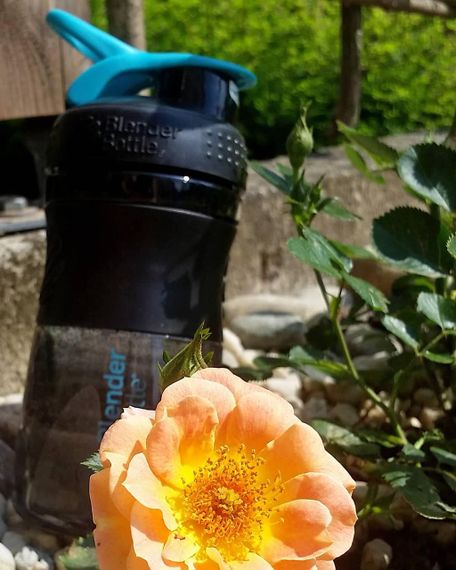 Шейкер спортивний (пляшка) BlenderBottle SportMixer 20oz/590ml Black/Teal (Original) | Зображення 6