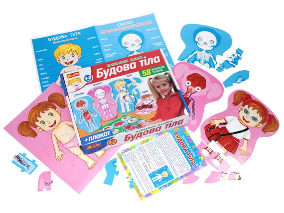 Пазл Будова тіла | Зображення 4