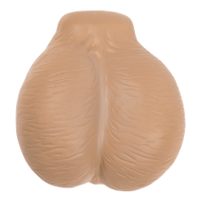 Антистресс Sexy Squeeze Balls, 10 см sexstyle