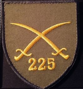Шеврон 225 ОШБ (койот)