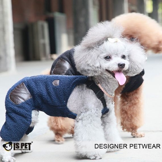 Зимний комбинезон для собак Is Pet "School Boy Pants" синий | Зображення 2