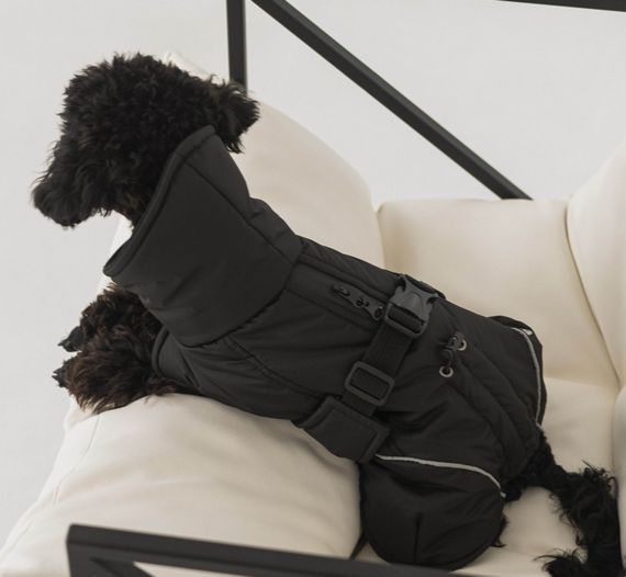 Жилет попона чорний GP-6 | Зображення 1