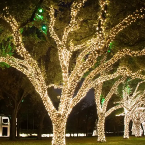 Декоративна гірлянда 800 LED 50М Теплий білий Вуличний, вулична світлодіодна гірлянда краплі роси, гірлянда знижка