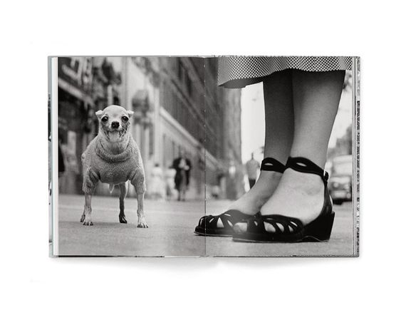 Работы известных фотографов книга Эллиотта Эрвитта с фотографиями собак Elliott Erwitt: Dogs (компактная) | Зображення 8
