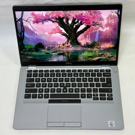 Ультрабук Б-клас Dell Latitude 5410 / 14" (1920x1080) IPS / Intel Core i5-10310U (4 (8) ядра по 1.7 - 4.4 GHz) / 16 GB DDR4 / 256 GB SSD / Intel UHD Graphics / WebCam / Windows 11 Pro б/в | Зображення 3