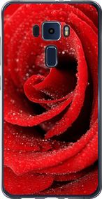 Чехол на Asus Zenfone 3 ZE552KL Красная роза "529u-448-17620"