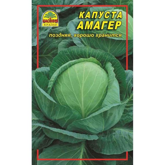Насіння капусти Амагер 0.5 кг | Зображення 2