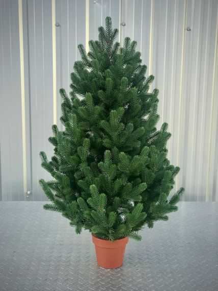 Ялинка Traditional лита в горщику 90 см зелена новинка | Зображення 6