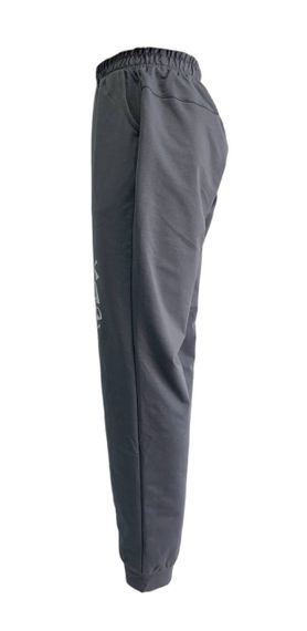 Штани спортивні жіночі ФЛОРА сірі, з принтом UKRAINE роз. 44 | Зображення 3