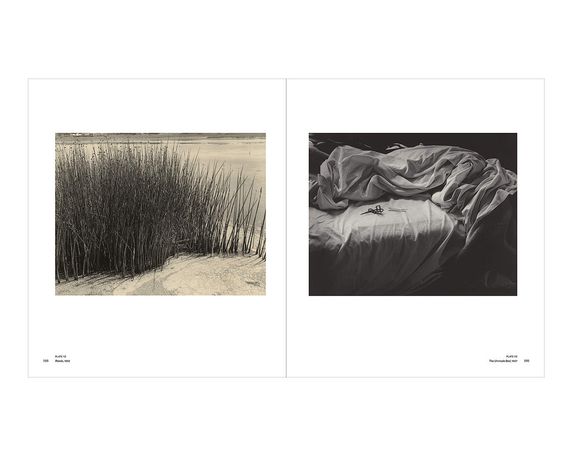 Альбоми відомих фотографів книга з фотороботами Імоджен Каннінгем Imogen Cunningham: A Retrospective | Зображення 4