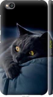 Чохол на Xiaomi Redmi Go Димчастий кіт "825m-1667-2448"