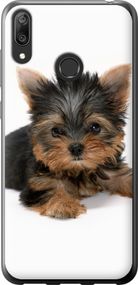 Чехол на Huawei Y7 2019 Щенок йоркширского терьера "931u-1638-17620"