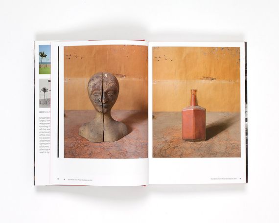 Лучшие фотографы мира книга Джоэл Мейеровиц Joel Meyerowitz: Where I Find Myself: A Lifetime Retrospective | Зображення 3