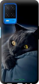 Чохол на Oppo A54 Димчастий кіт "825b-2306-2448"